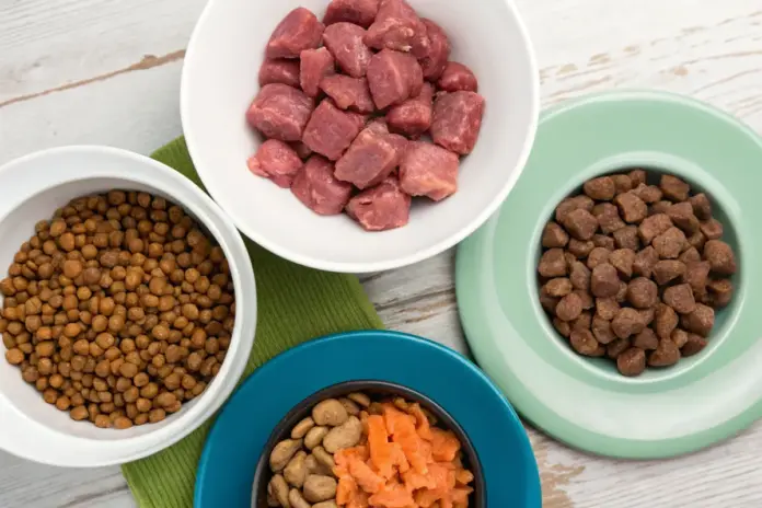 Verschiedene Hundefutterarten nebeneinander: Trockenfutter, Nassfutter und BARF, klar und ansprechend präsentiert.